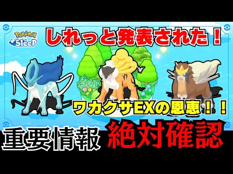 【必見】しれっと判明！EXモード×三犬イベントが色違い最強環境に！？ライコウ色違い狙いの大チャンス！【ポケモンスリープ】