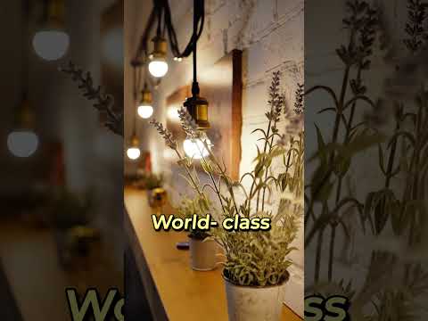 🏡 Miyapur Premium 3BHK Flats  One-Time Payment Offer  Luxury Living @ ₹1  Call: 7799707077