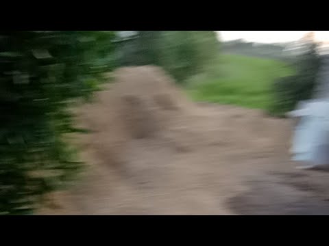 بدأت قناة "وصفات الغلابة " بثًا مباشرًا