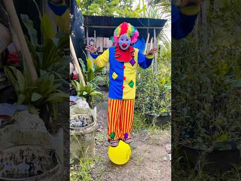 bisa berdiri di atas balon !