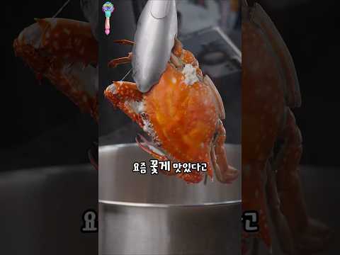 꽃게를 맛있게 먹는 방법 알려 <strong>드립니다</strong>.