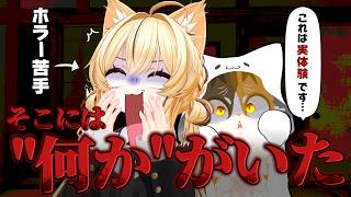 【ホラー】兄の本当にあった怖い話を聞いていたらまさかの心霊現象発生！？
