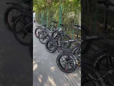 Citycoco chopper electric bicycle Rooder