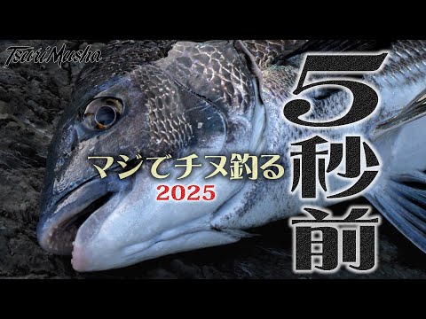 【マジでチヌ釣る5秒前】 2025年度版！ 愛媛県下灘湾 にてチヌを狙う！