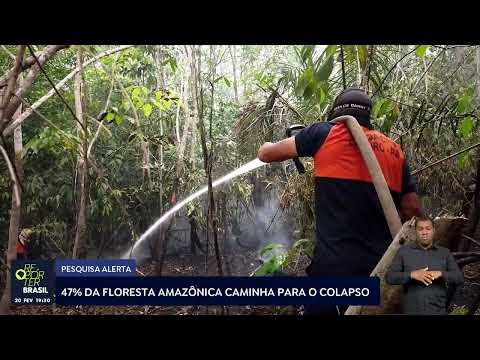Pesquisa alerta que 47% da Floresta Amazônica caminha para o colapso