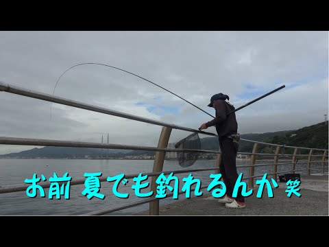 真夏でもなんとかなるる アイツとアイツ 七転八釣
