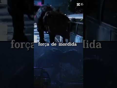 Buck T-Rex 1997 vs Rexy 1993 #shorts