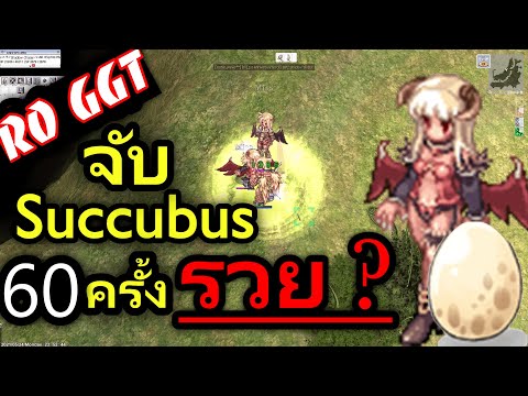 RO-GGT-จับ-Succubus-60-ครั้ง-จ RO-GGT-จับ-Succubus-60-ครั้ง-จ