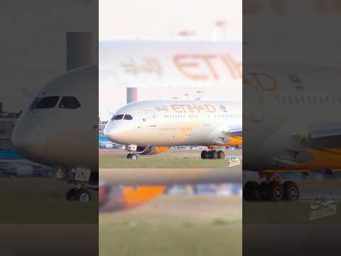 Etihad Dreamliner 😏 #shorts #fyp #viral #aviation #avgeek