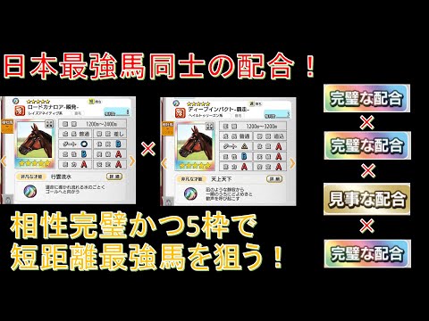 競馬好きお兄さんの最新動画 Youtubeランキング