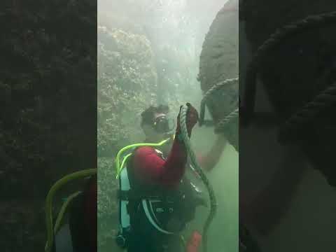 Υποβρύχιος καθαρισμός στο λιμάνι του Λαυρίου