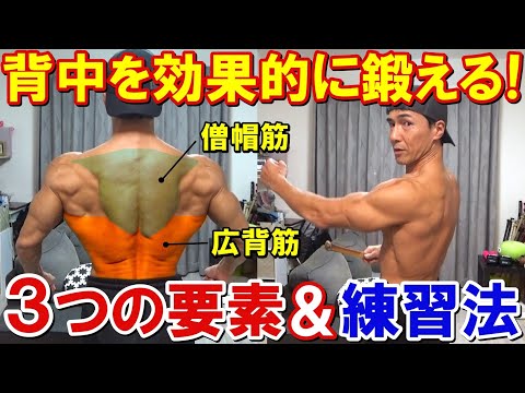 背中のトレーニングで広背筋や僧帽筋を鍛える為に必要な3つの要素！フォーム習得に効果的な練習法も解説！