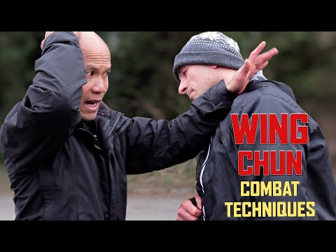 Wing Chun Combat techniques