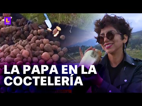 La papa en la coctelería peruana: Nos aporta una cremosidad rica