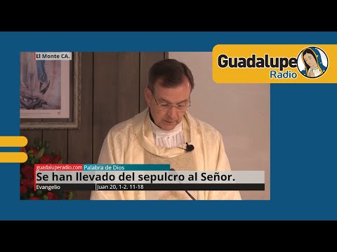 Evangelio de hoy 22/julio/2024