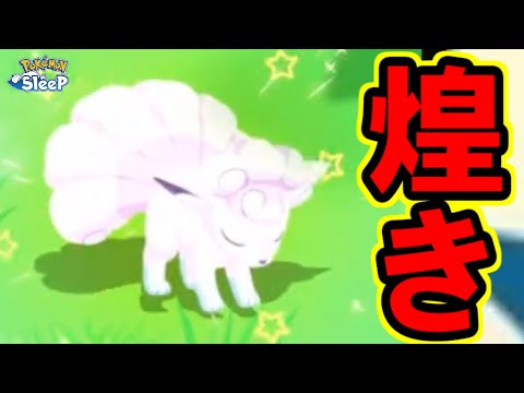 ようやく神色違いが出ました。【ポケモンスリープ】