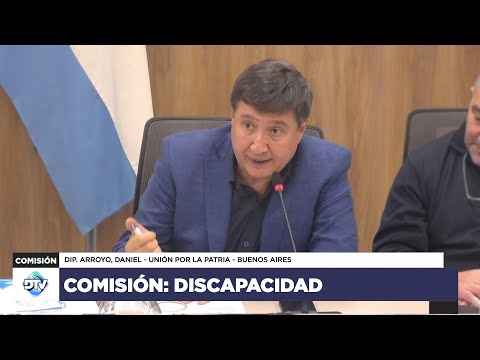 COMISIÓN EN VIVO: DISCAPACIDAD - 25 de abril de 2024 - Diputados Argentina