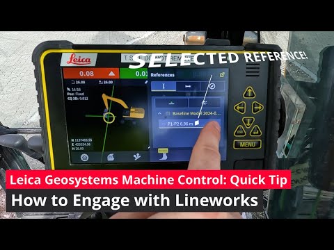 Quick Tip: How to Work with a Lineworks Reference