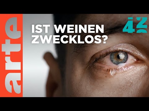 Warum weinen wir? | 42 - Die Antwort auf fast alles | ARTE