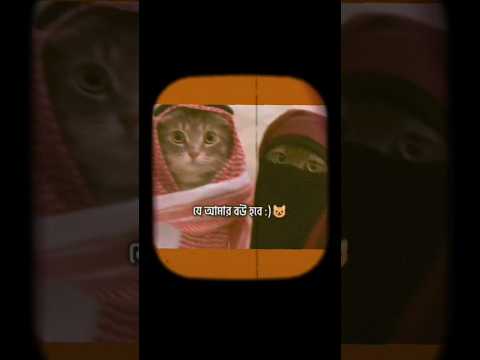 যে আমার বউ হবে 😁🥰 #shorts #viral #motivation #foryou #unfrezzmyaccount #trending #reels