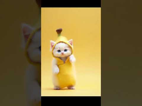 猫の動画サムネイル - AIcatdance#shorts #funny #catdance#kitten#dance#cat#dance#猫#dance#ダンス#猫ダンス