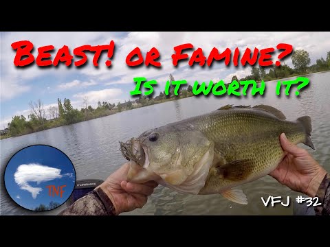 Bass Fishing: Big Bass, Small Bass; Understanding Population Size Structure: VFJ32