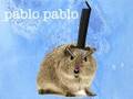 pablopoopo