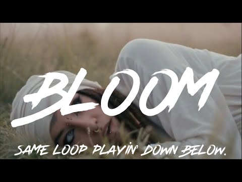 Flower Friendly- BLOOM (Official Music Video)