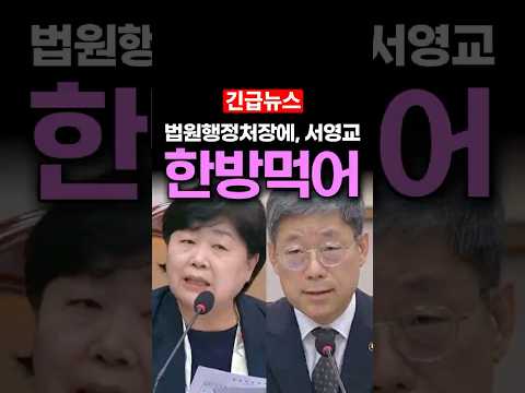 서영교 제대로 <strong>한방</strong> 먹인 노경필 법원행정처장