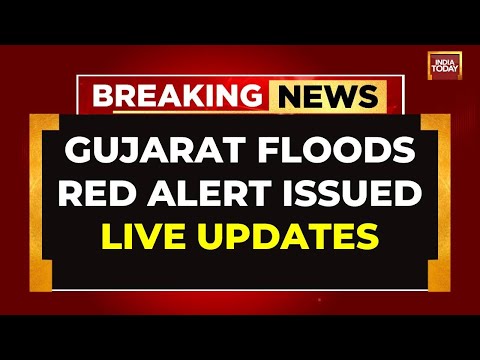 LIVE Gujarat Floods: Relentless Rainfall Brings Gujarat To Standstill, Red Alert In 11 Districts