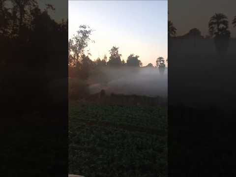 اللهم اجعل في هذا اليوم خير يشرح قلوبنا ويريح بالنا يارب العالمين 🤲🏻