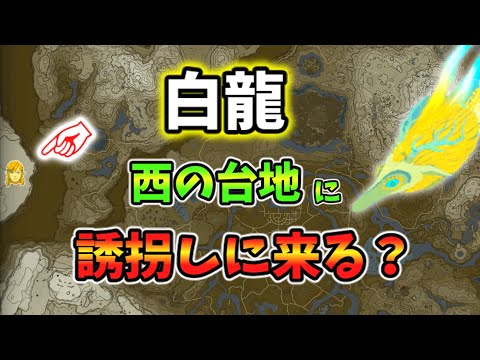 マップ外までも白龍はリンクを誘拐しに来るのか？(ver1.0.0)【ティアキン TotK】裏技 バグ 検証 ゆっくり実況 glitch
