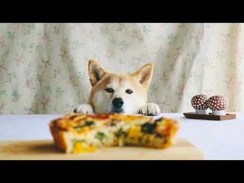大好きな景色が、もうすぐ無くなっちゃうんだ…。変わっていく世界、変わらないキッシュの味。