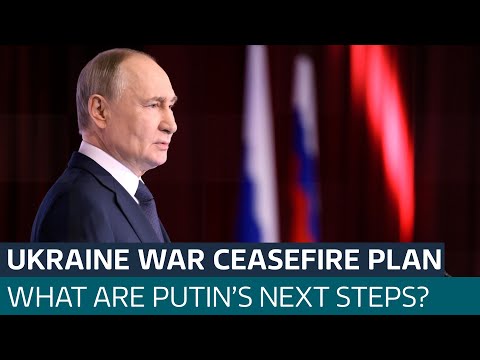 Ukraine-Russia war: Will Putin accept 30-day ceasefire deal?