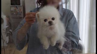 動画サムネイル
