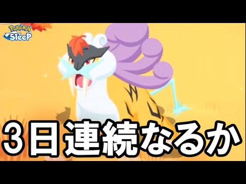 3日連続で神になれるのか。【ポケモンスリープ】