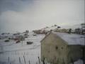 belali28