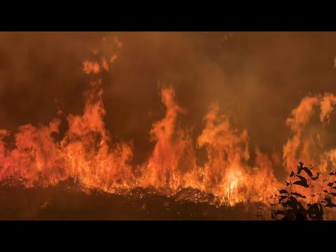 Incendios en Amazonía brasileña baten récord para un primer semestre en 20 años | AFP