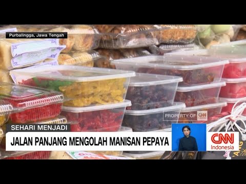 Jalan Panjang Mengolah Manisan Pepaya