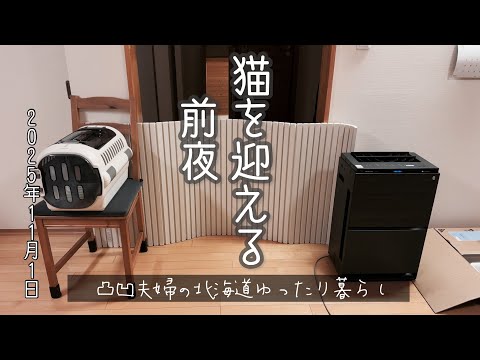 ［暮らし］猫を迎える前夜　2025年11月1日