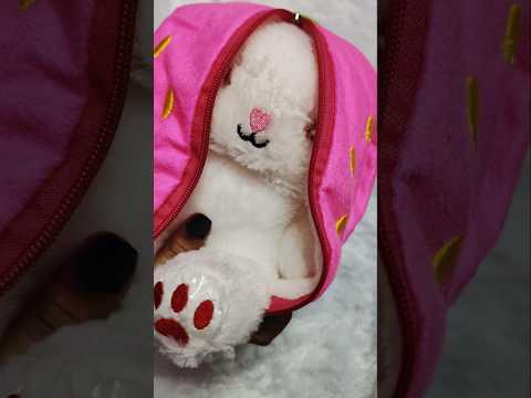 🥰 cute rabbit 🐇🐰 link in description 👇✨ don't miss it #offer @Meesho