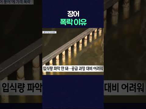 "많이 잡혔는데 <strong>가격</strong> 폭락"..<strong>민물장어</strong> 풍어의 역설 #shorts #장어 #장어맛집 #<strong>민물장어</strong> #장어구이  #광주mbc #광주mbc뉴스