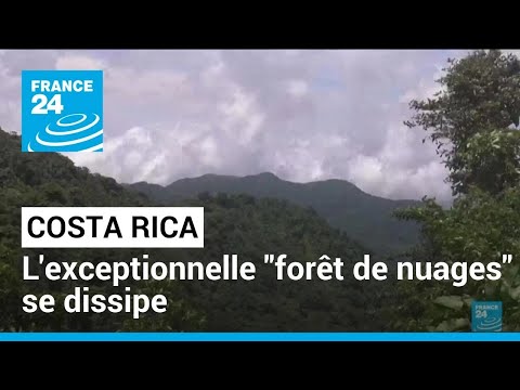 Costa rica : l'exceptionnelle forêt de nuages se dissipe • FRANCE 24