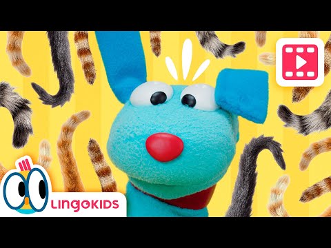 A DOG’S TALE 🐶 Lucas & Me 🐭 Ep. 5 | Puppets for Kids | Lingokids