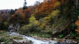 Mati Tours & Camp - Pensiunea Krisztina si Pensiunea Teona - Porumbacu de Sus - YouTube