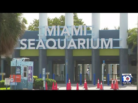 Judge denies Miami-Dade's eviction motion against Miami Seaquarium