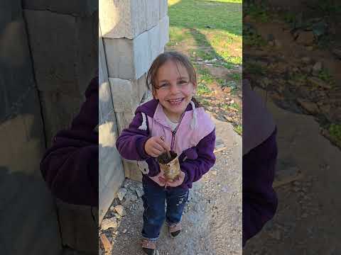 عم يلعبو بل تراب