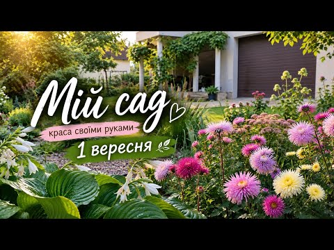 1 вересня - не віриться, що вже осінь прийшла у МІЙ САД