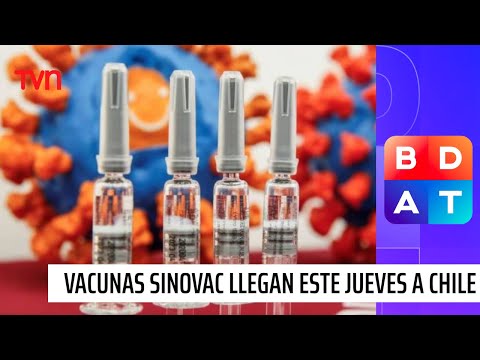 Primeras dos millones de vacunas Sinovac llegan este jueves a Chile | Buenos días a todos