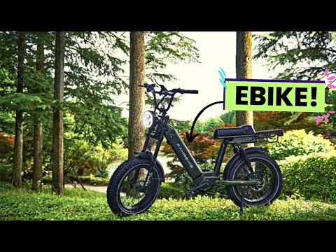 Fahrbike Roadster 73 | Ebike Review